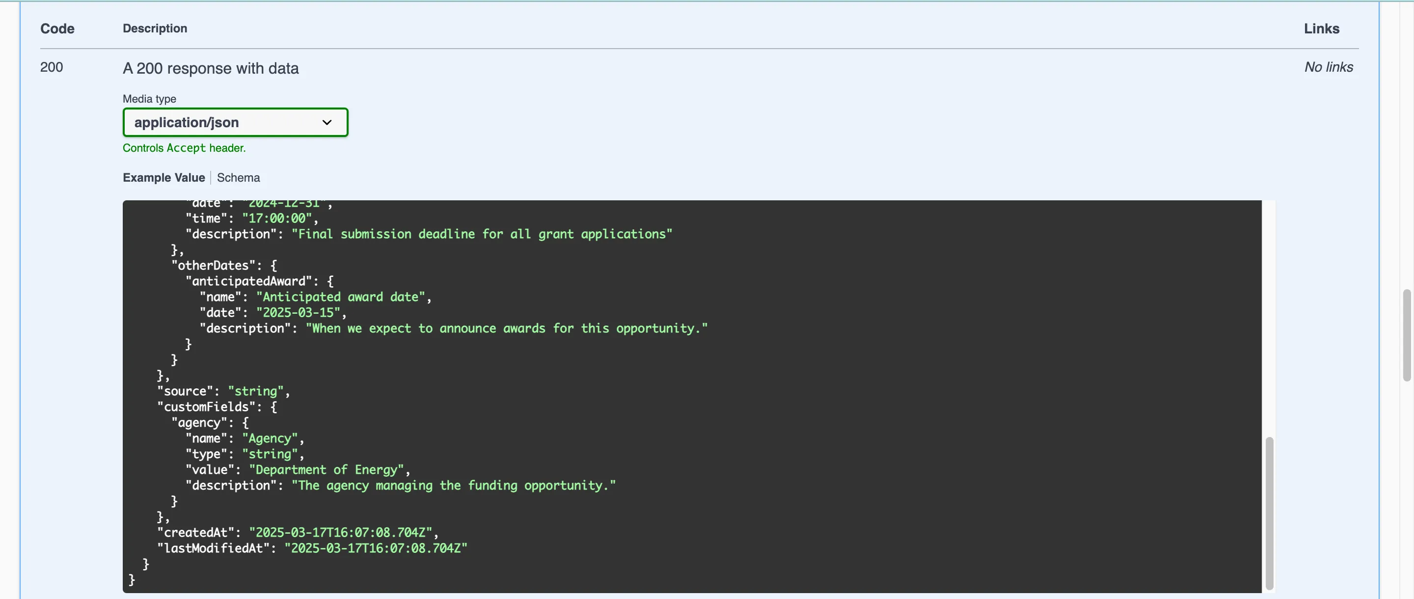 Screenshot of a custom field in OpenAPI docs